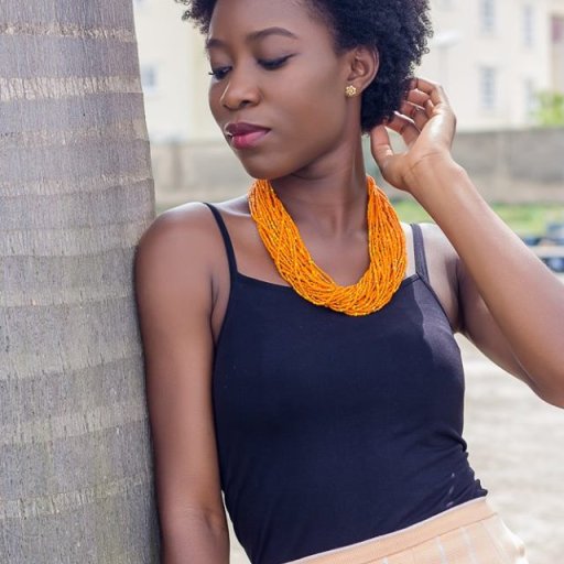 13346691_290448251295724_4371897528013059044_n