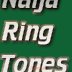 NaijaRingtones Logo 3