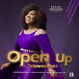 @toluwanimee