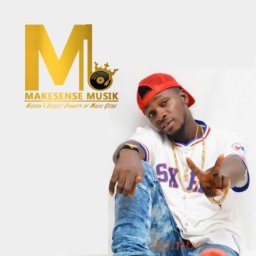 @infomakesensemusiccom