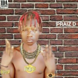 @praiz-d