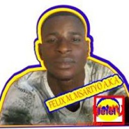 @felixmsartyo