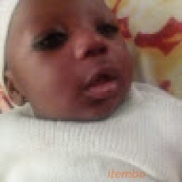 @shuaibu-umar-usmanu