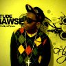 Fly MC