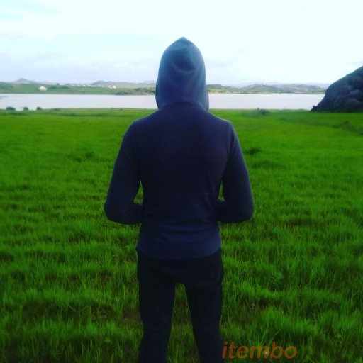 Venfa Mams