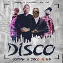 Disco