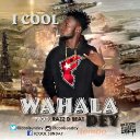 Wahala Dey