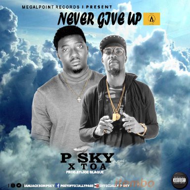 P Sky   Never Give Up (Life Experience) Ft T.O.A