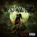 Wonder