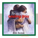 Never Stop Loving You