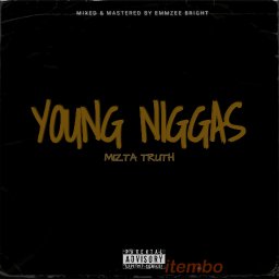 Mizta_Truth_-_Young_Niggas