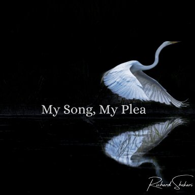 My Song, My Plea