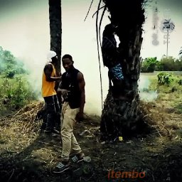 Classiq Wizy realnigga 